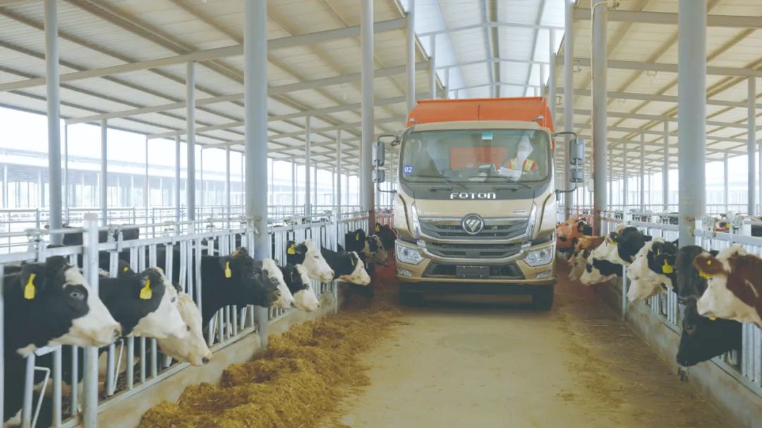 1643275546558848.jpg WeChat Image_20220127172534.jpg